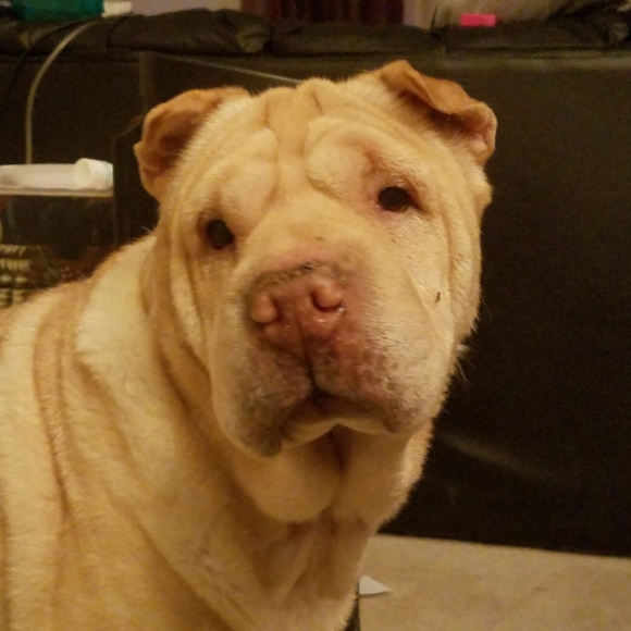 READ Before You Offer Or Buy - Picture 8 of 15